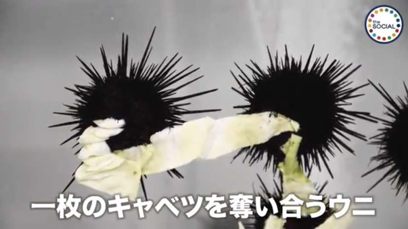 Facebook、音声チャット開発か　「クラブハウス」に類似―米紙報道