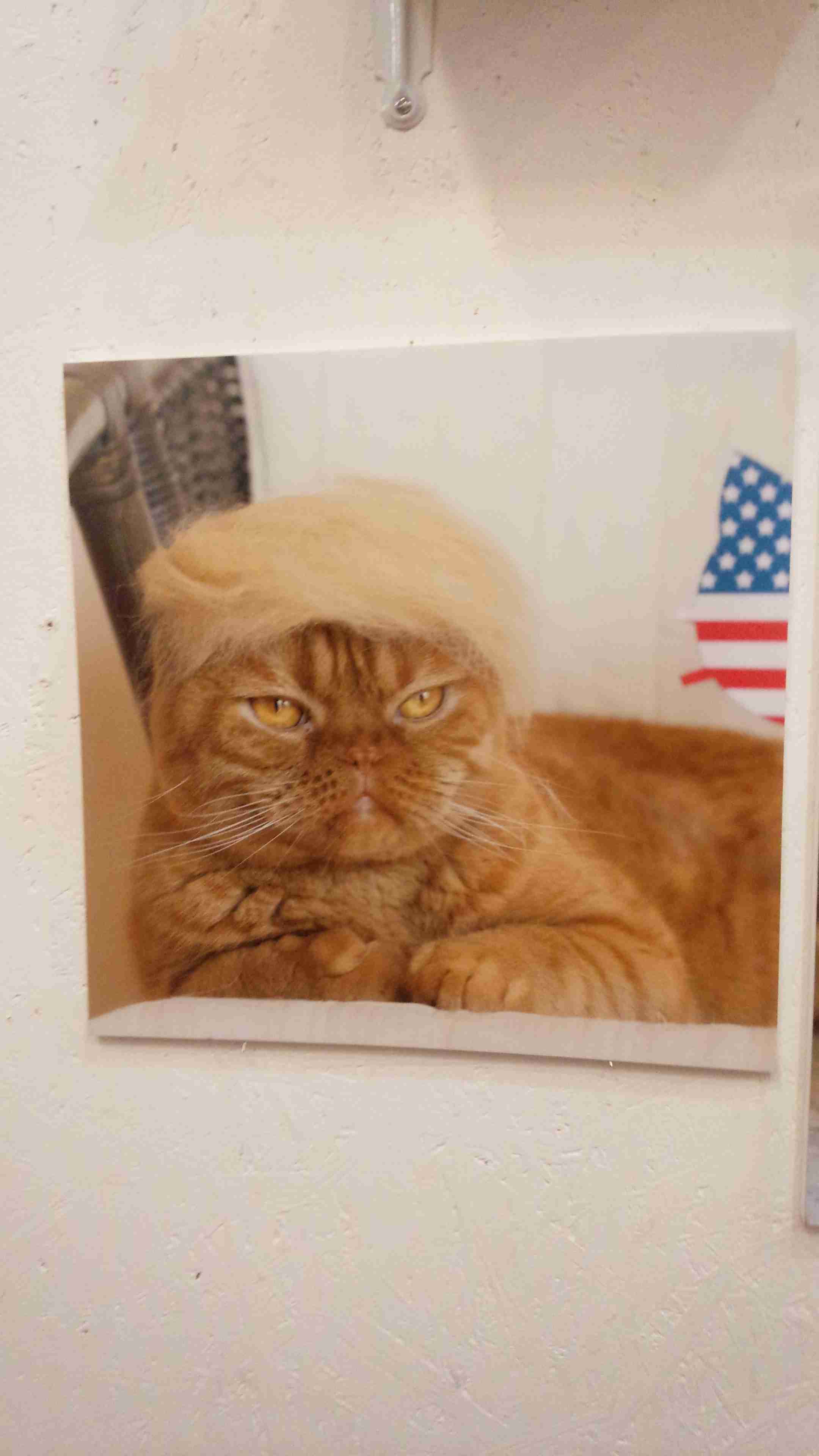 Facebook、音声チャット開発か　「クラブハウス」に類似―米紙報道