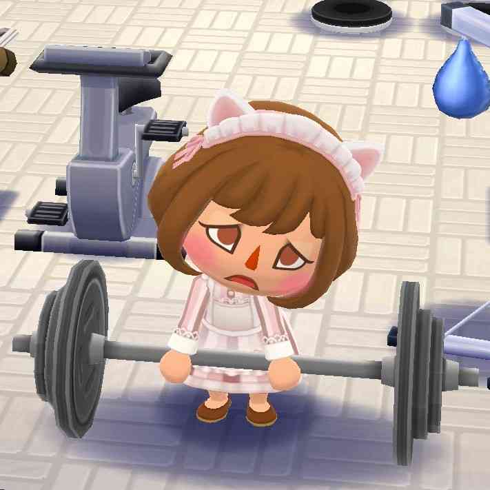 【初心者専用】ポケ森・ポケットキャンプ【優しいベテランも大歓迎】４