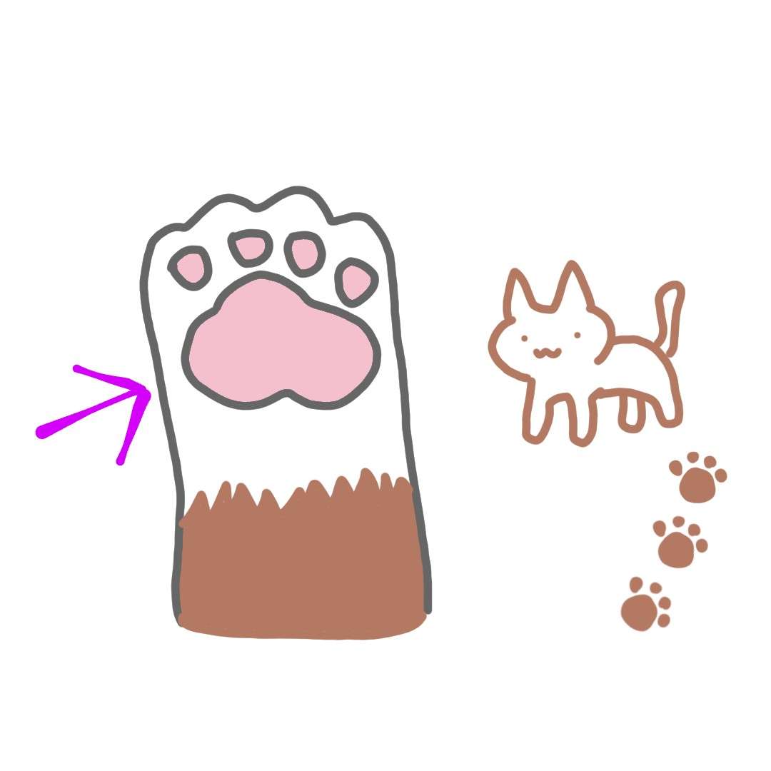 お絵描きしりとり