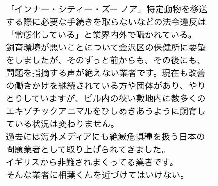 相葉雅紀“どうぶつ園”に抗議の声…スナネコの背中をなでるシーンはなぜ炎上したのか