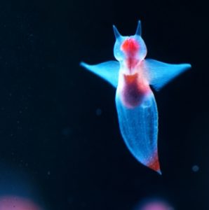 子供の頃、家に帰ってから寝るまで何してましたか?