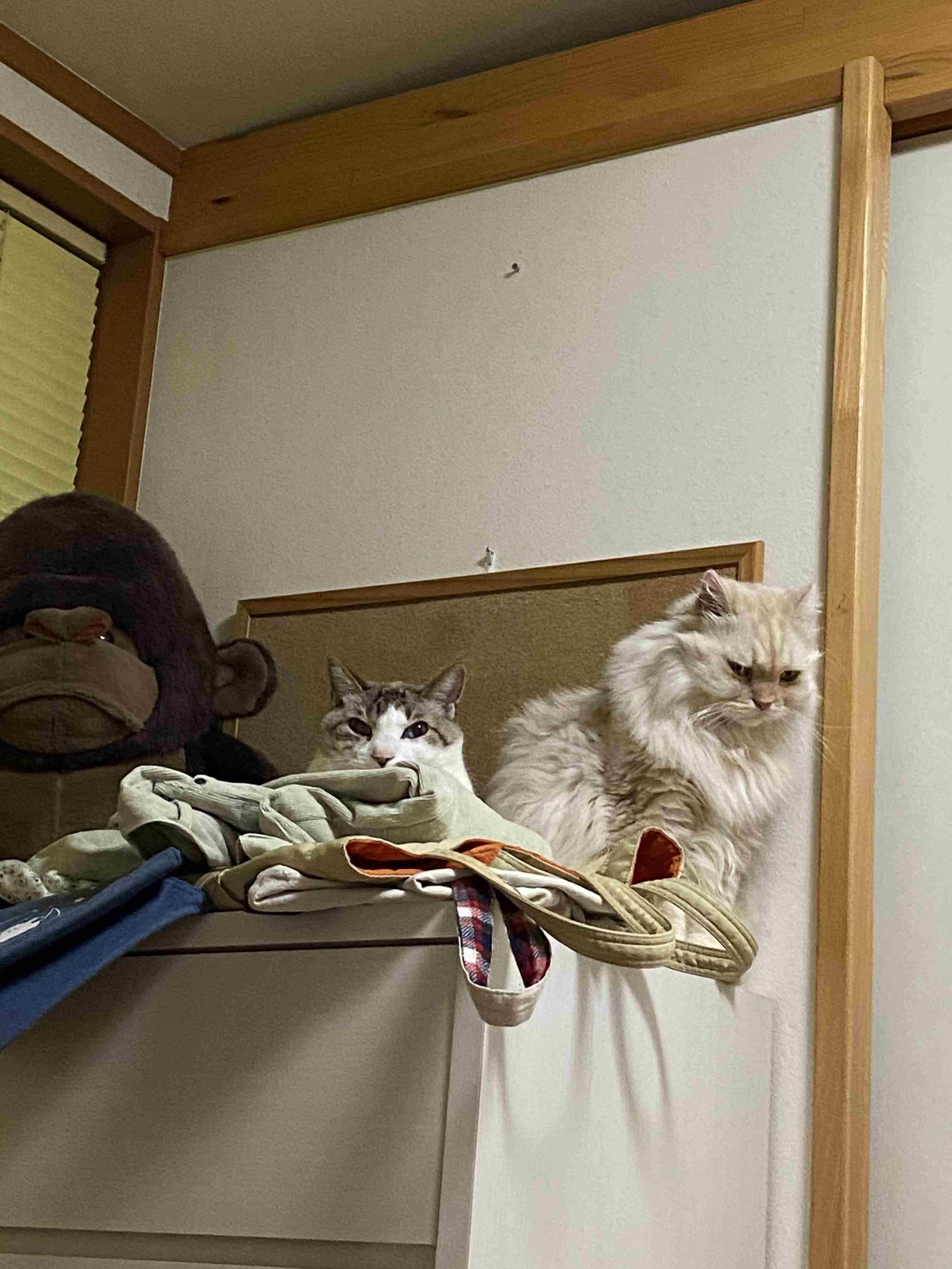 のんびりしたい週末の雑談トピ【まったり】part3