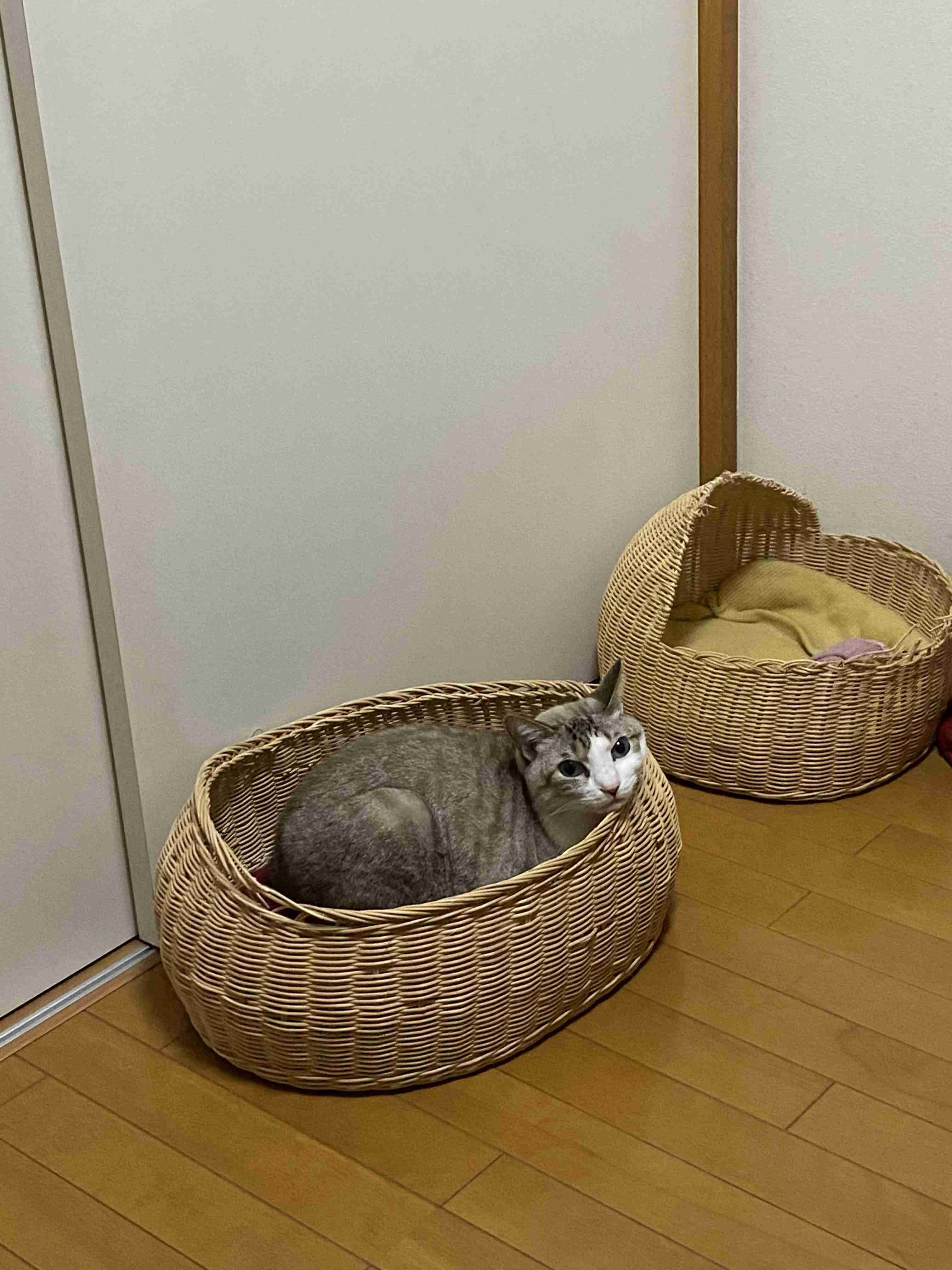 のんびりしたい週末の雑談トピ【まったり】part3