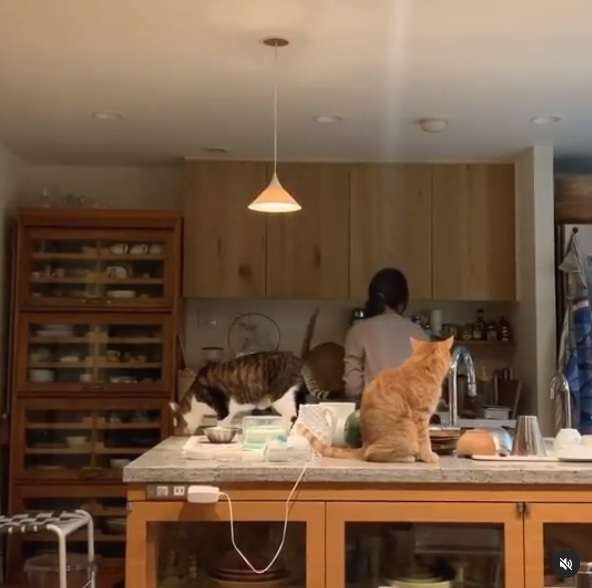 石田ゆり子、アンティーク食器棚が背景の笑顔ショットに賛辞の声「向田邦子さんの雰囲気」