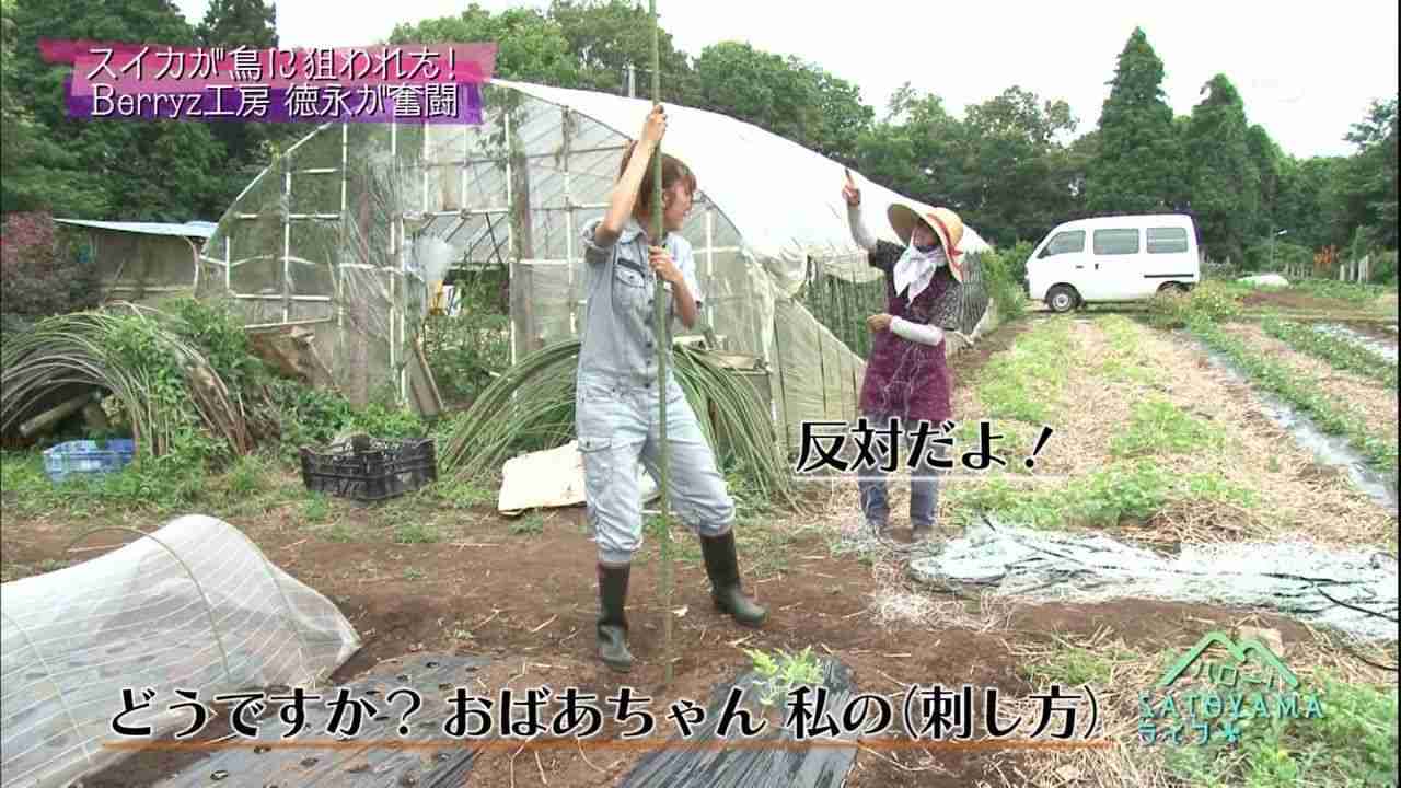 Berryz工房・徳永千奈美が芸能界引退 留学→英語を使う職場に就職