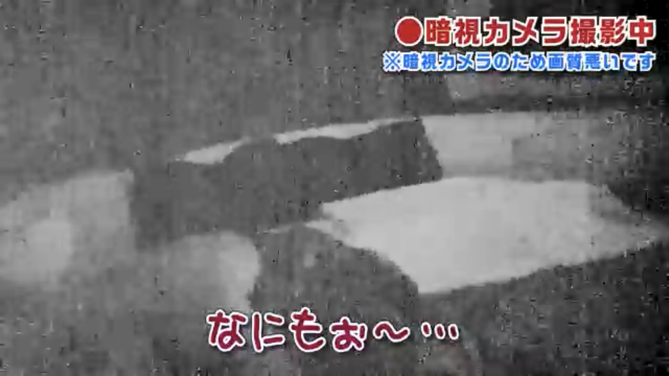 GACKT、「分かってねえ！」と激怒し出国　愛犬譲渡炎上のその後