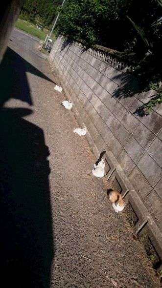 密と密じゃない画像を交互に貼るトピpart2