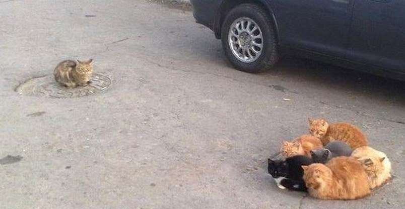 密と密じゃない画像を交互に貼るトピpart2