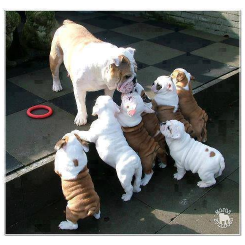 密と密じゃない画像を交互に貼るトピpart2