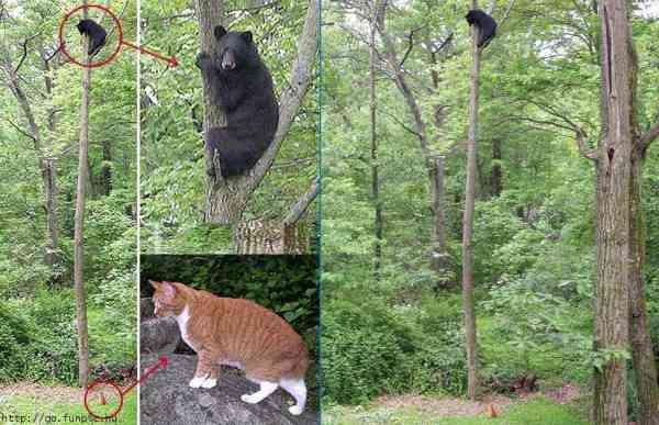 密と密じゃない画像を交互に貼るトピpart2