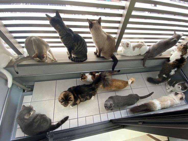 密と密じゃない画像を交互に貼るトピpart2