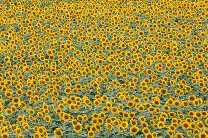 密と密じゃない画像を交互に貼るトピpart2