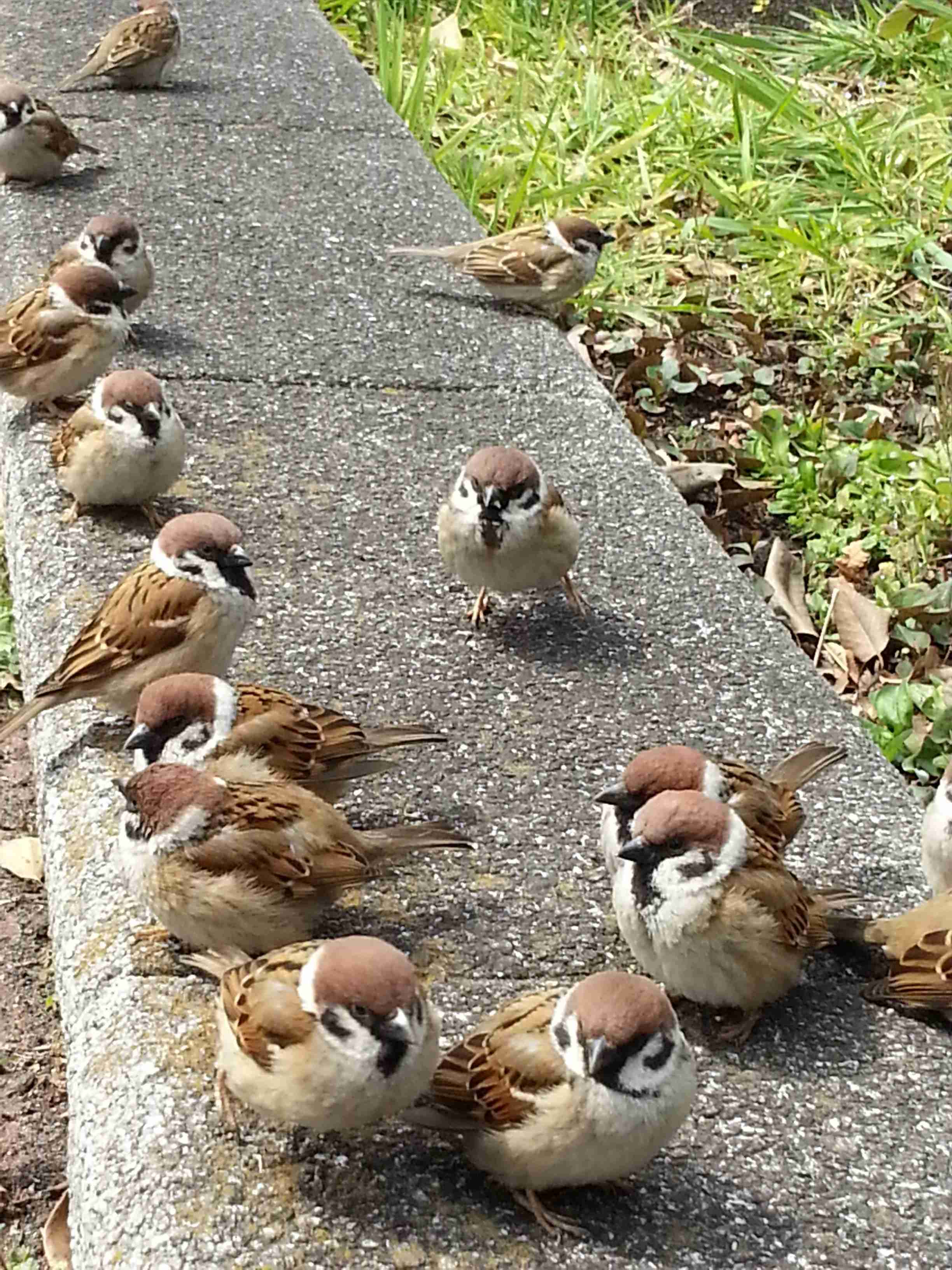 密と密じゃない画像を交互に貼るトピpart2