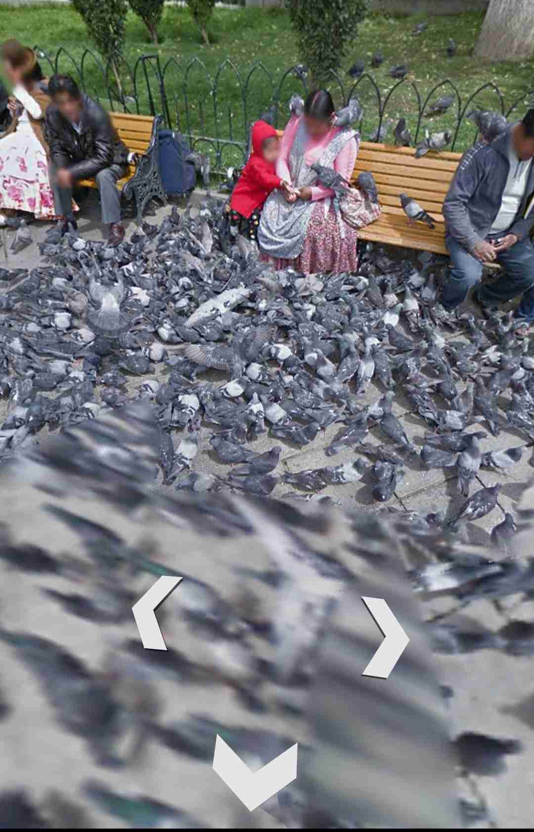 密と密じゃない画像を交互に貼るトピpart2