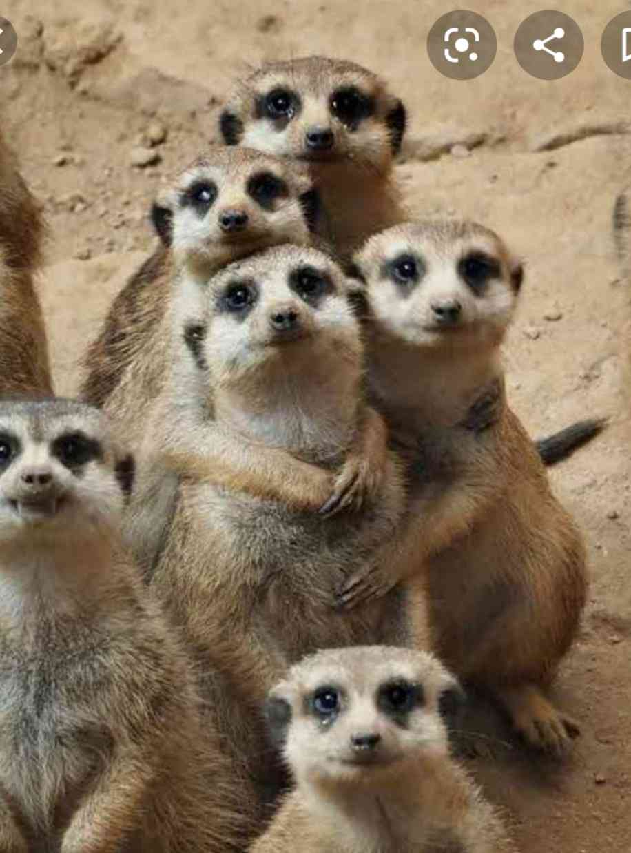 密と密じゃない画像を交互に貼るトピpart2