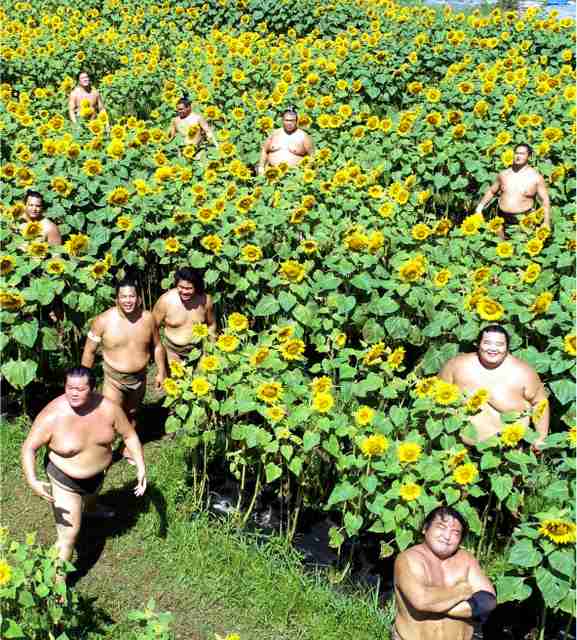 密と密じゃない画像を交互に貼るトピpart2