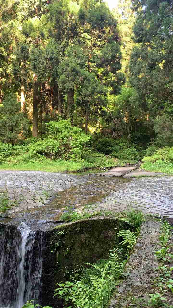 酷道・険道ファン集まれー！