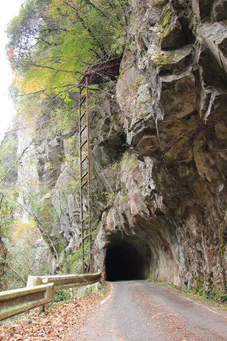酷道・険道ファン集まれー！