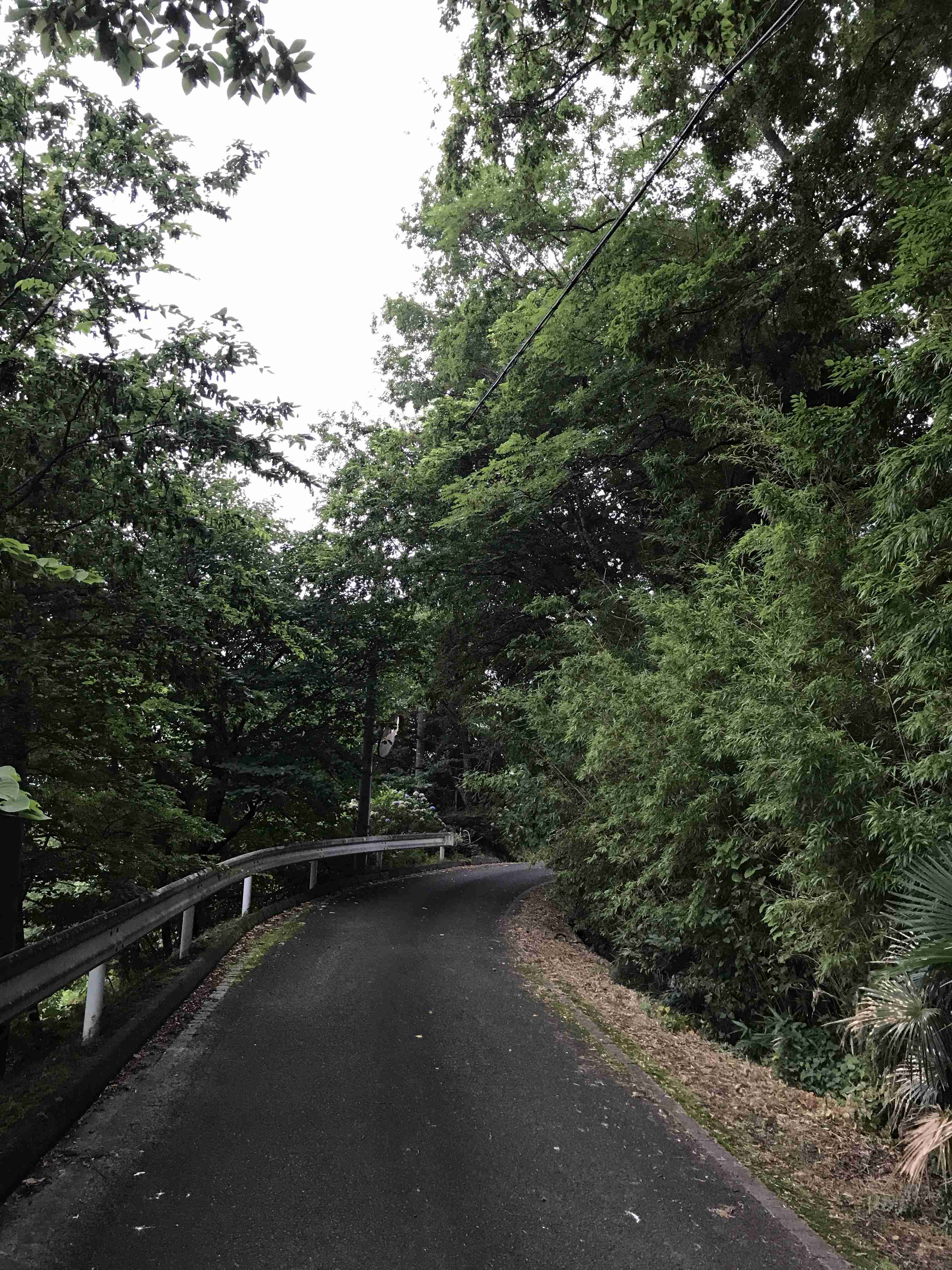 酷道・険道ファン集まれー！