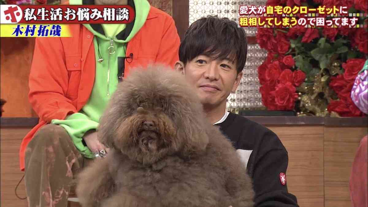 路線変更が成功したと思う芸能人