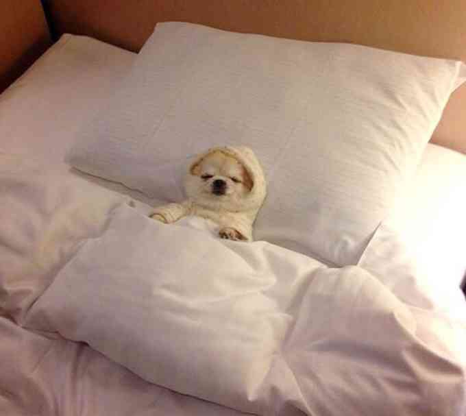 寝る前の考え事がやめられない