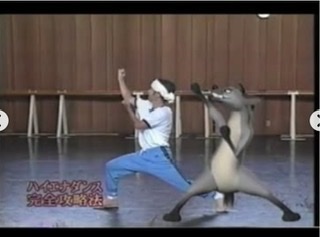 めちゃイケ！見てた人