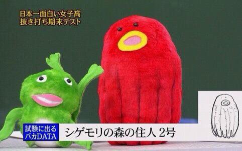 めちゃイケ！見てた人