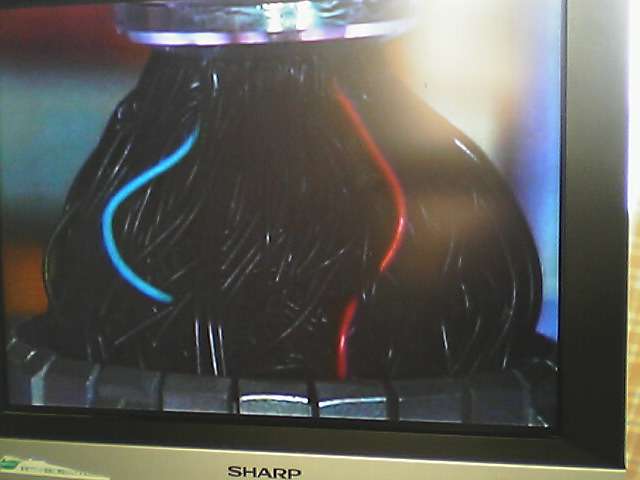 もし爆弾の赤か青のコード切る時今日の気分ならどっち切る？