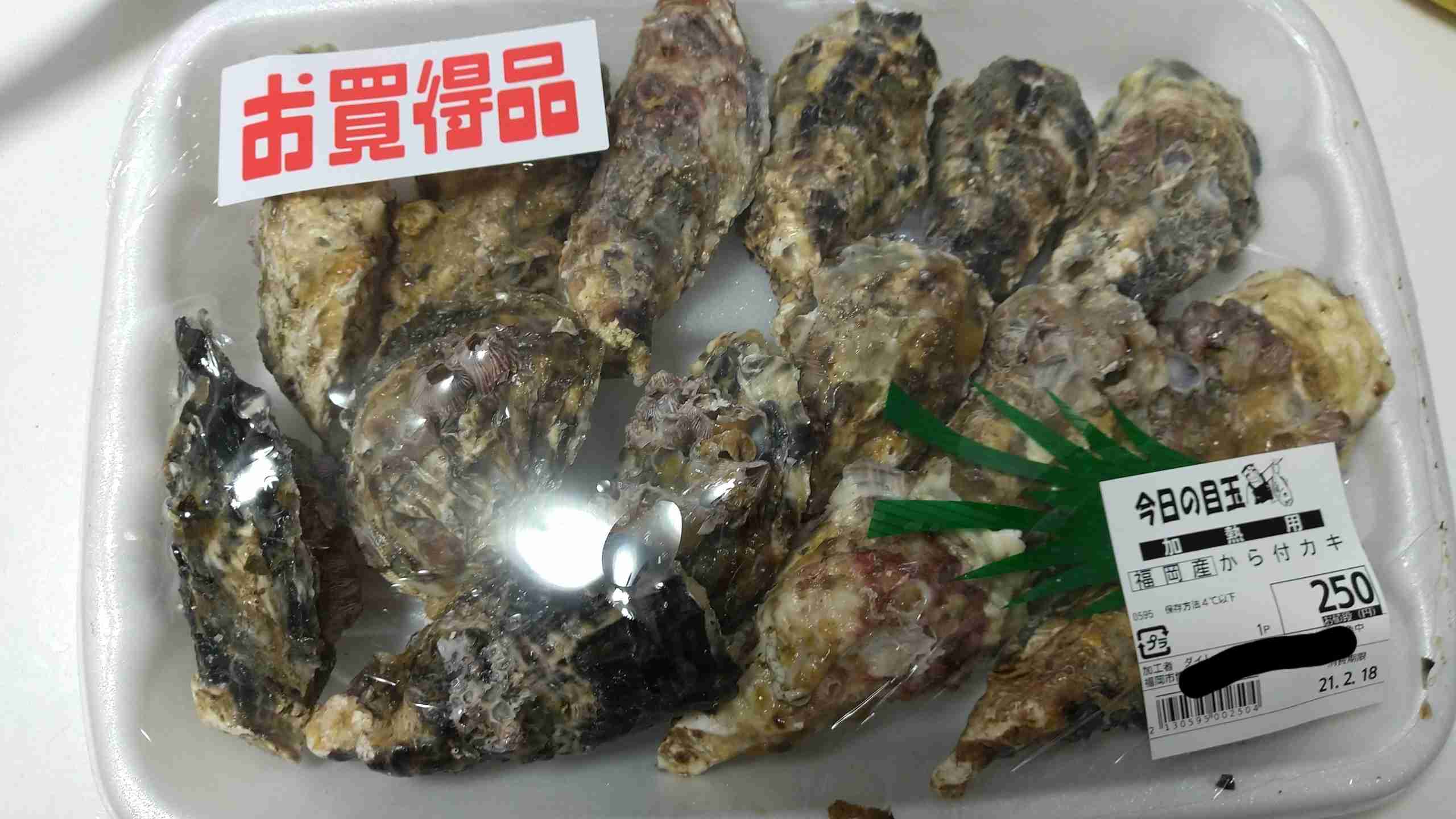 【コロナ・雑談】福岡県民の方、話しましょう！【part11】