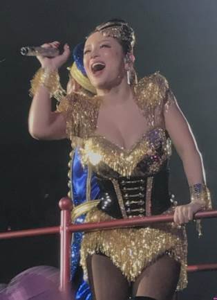 芸能人のライブの衣装画像を貼るトピ