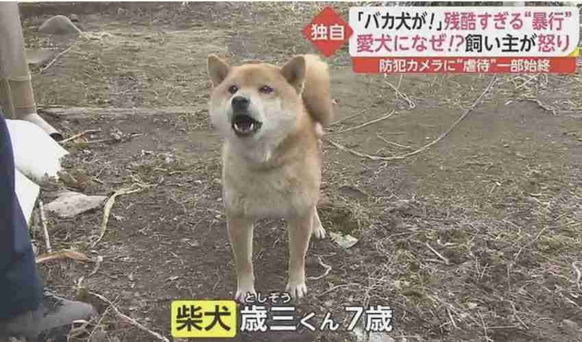 庭に侵入 犬に暴行で逮捕　動物虐待73歳の男