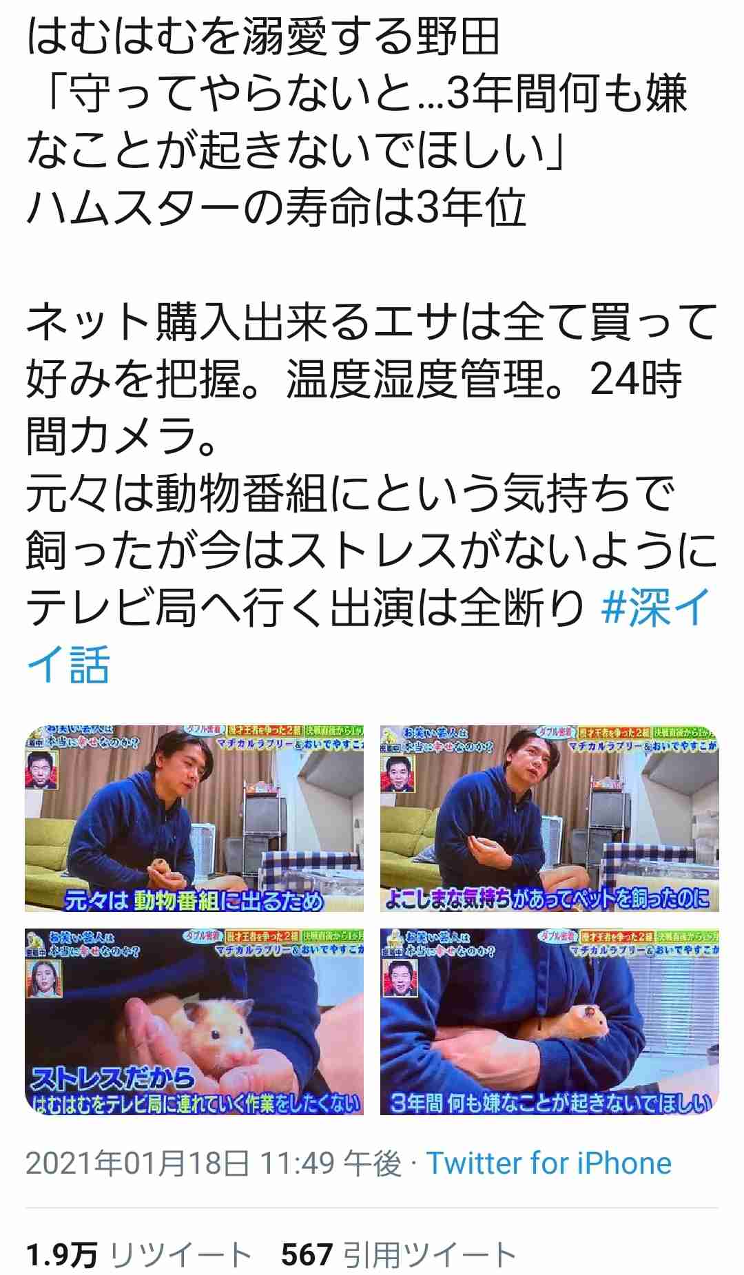 野田クリスタル好きな人！