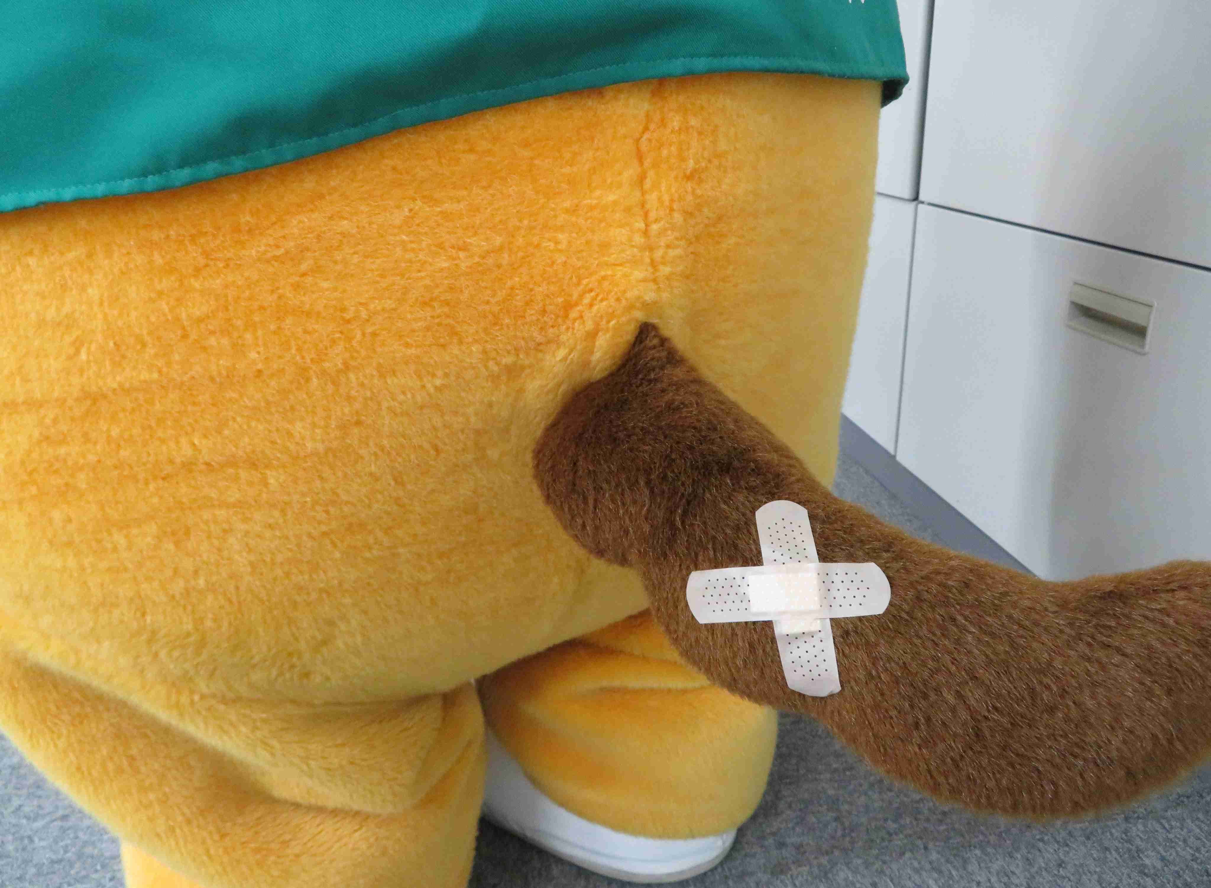 ぐんまちゃんの誕生日です。