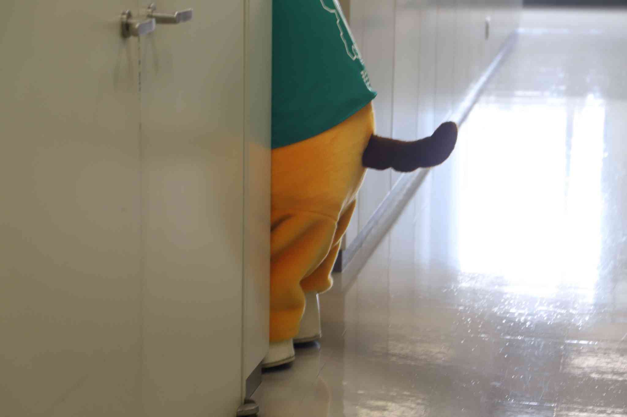 ぐんまちゃんの誕生日です。