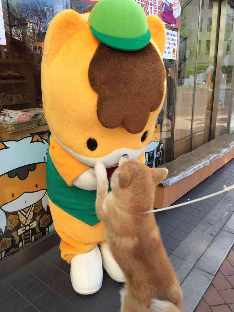 ぐんまちゃんの誕生日です。