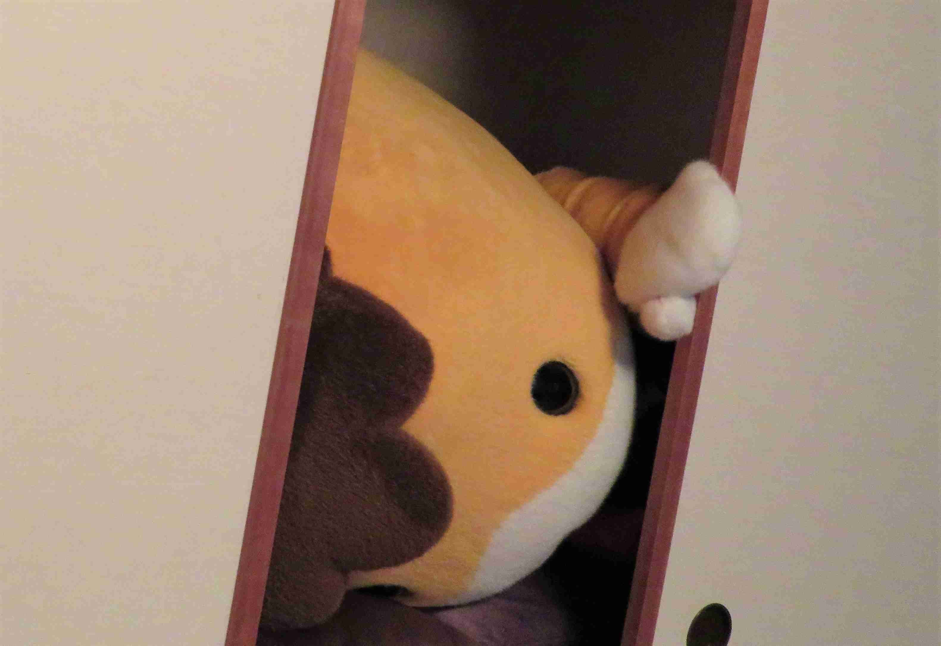 ぐんまちゃんの誕生日です。