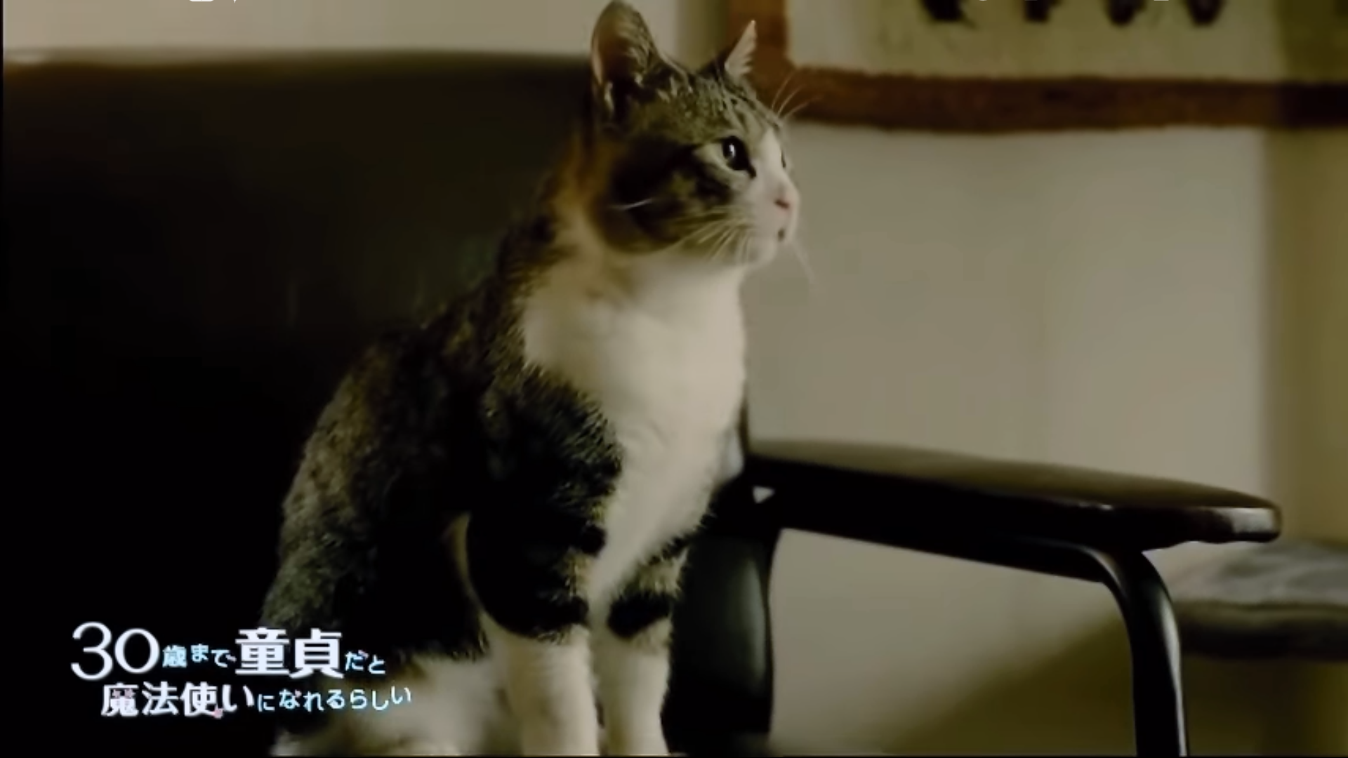 深夜の「30分ドラマ」連発 一歩先を行くテレビ東京の狙い