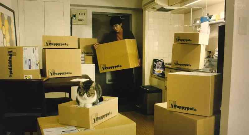 深夜の「30分ドラマ」連発 一歩先を行くテレビ東京の狙い