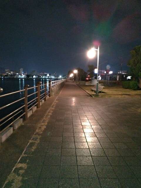 【画像トピ】こんなとこ散歩したいな～