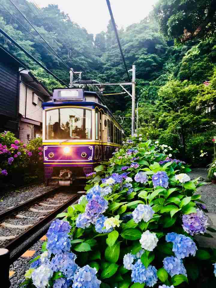 【画像トピ】こんなとこ散歩したいな～