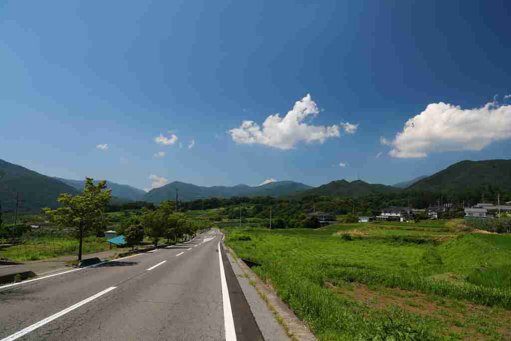 死亡した歩行者、6割に違反 車の前後横断や信号無視