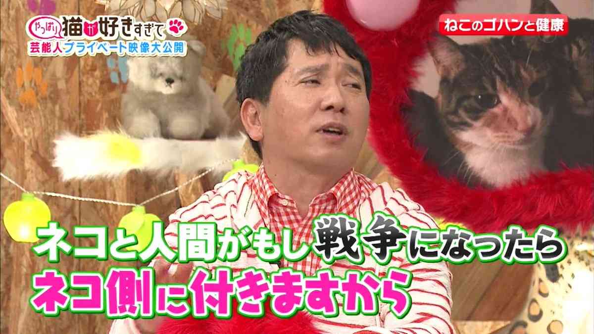 (身バレしない程度に)お宅の猫ちゃん見せてください！part8