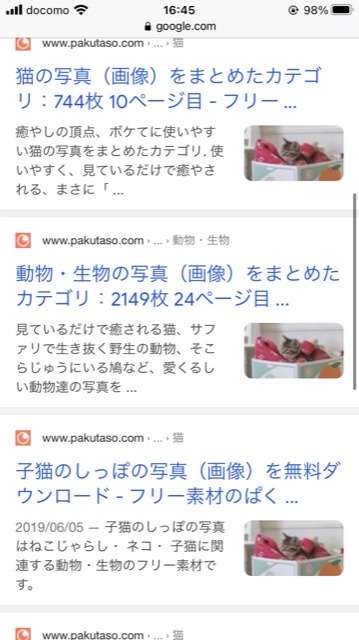 (身バレしない程度に)お宅の猫ちゃん見せてください！part8