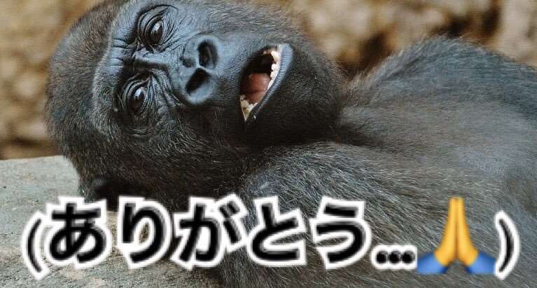 日常生活でよく使うセリフにプラス