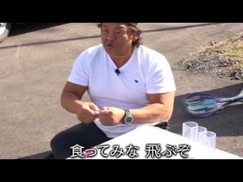 千鳥の初ゴールデン番組〝低空発進〟が自虐で済まない深刻事情
