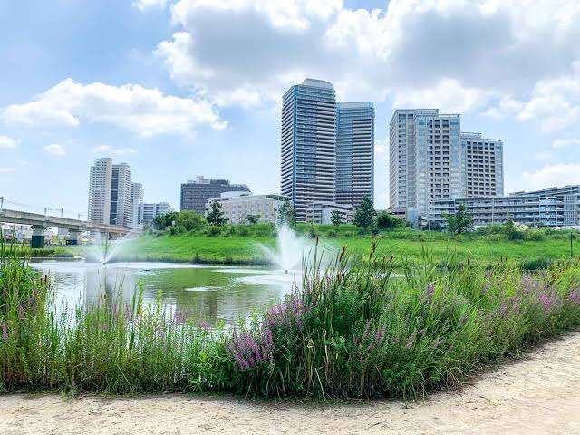 タワマン浸水した武蔵小杉「天災ではなく人災だった」市と住人たちは“泥沼裁判”