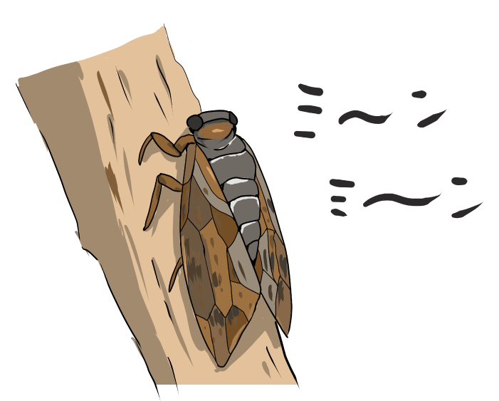 セミナー行った事ありますか？