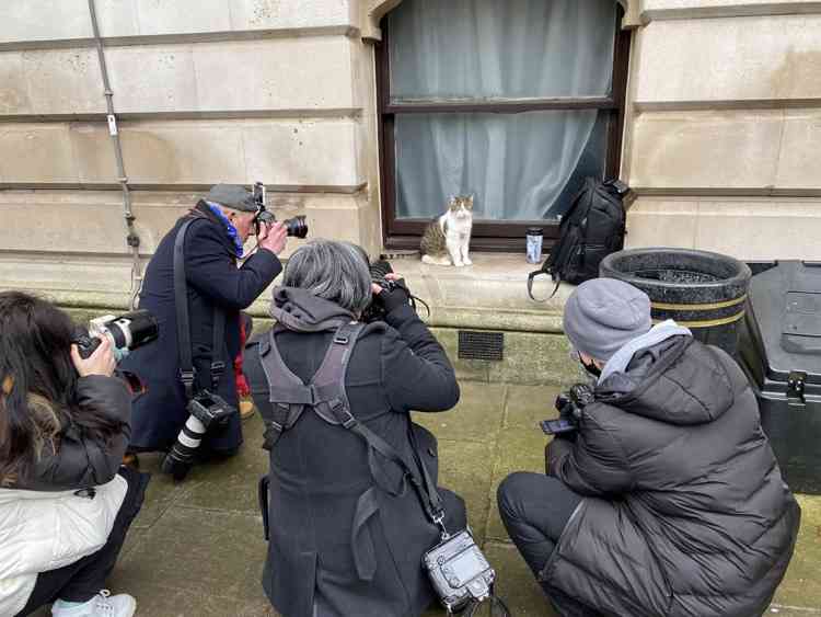 英首相官邸のネズミ捕獲長ネコ「ラリー・ザ・キャット」10周年のお祝い