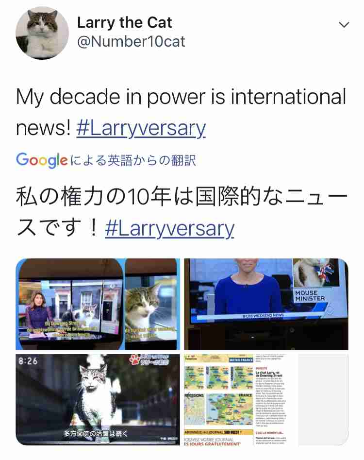英首相官邸のネズミ捕獲長ネコ「ラリー・ザ・キャット」10周年のお祝い
